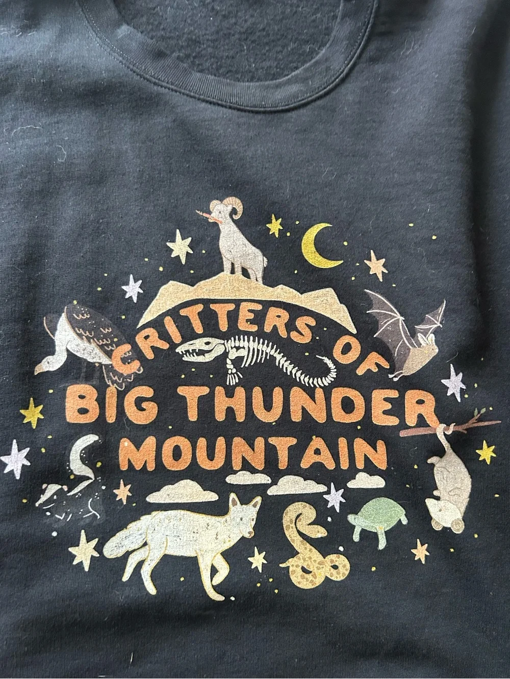 Disney parks big thunder mountain sweatshirt
